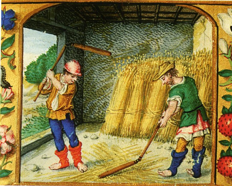 Файл:1525 Battage du ble avec fleaux, Livre d-heure, Maastricht, La Haye.jpg