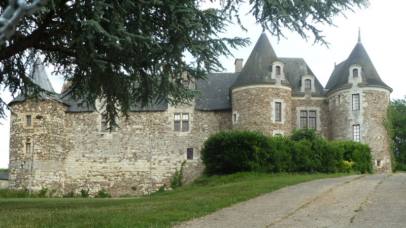 Файл:Château de Blaison - Blaison-Gohier - 20100605.jpg