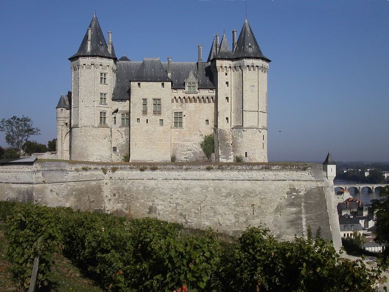 Файл:Chateau de saumur.jpg